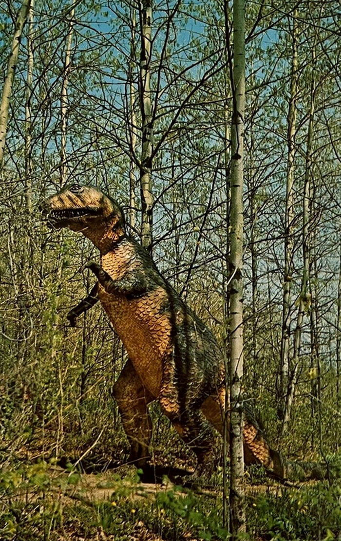 Prehistoric Forest - Vintage Postcard